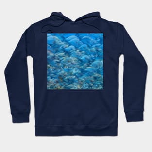 Bluefish Hoodie